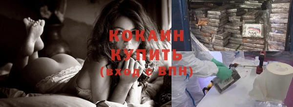 эйфоретик Ельня