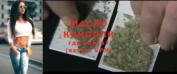 эйфоретик Ельня