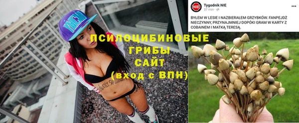 эйфоретик Ельня