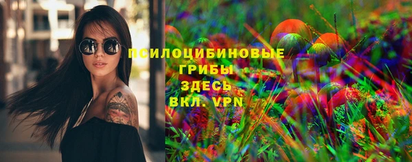 эйфоретик Ельня