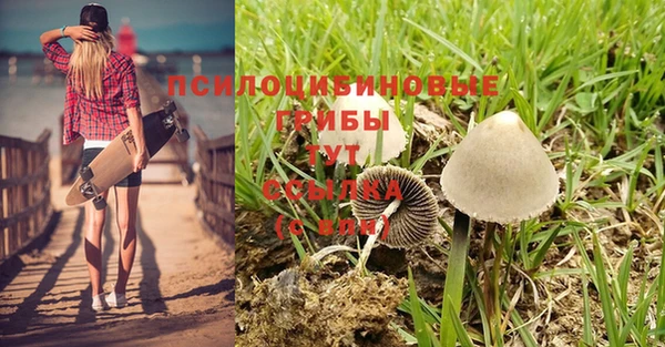 эйфоретик Ельня