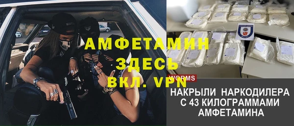 эйфоретик Ельня