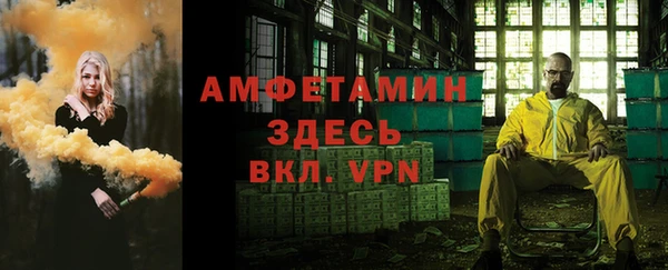 эйфоретик Ельня