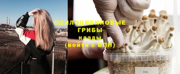 эйфоретик Ельня
