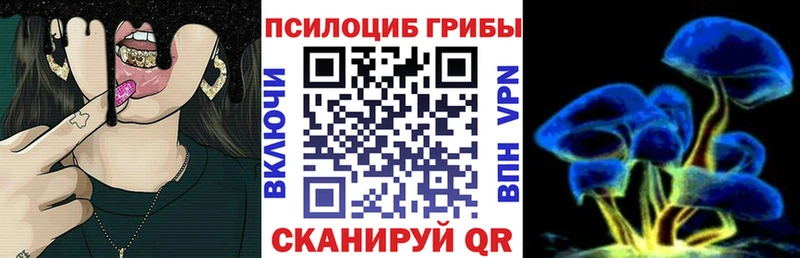 Купить закладки  Теберда  Галлюциногенные грибы GOLDEN TEACHER 