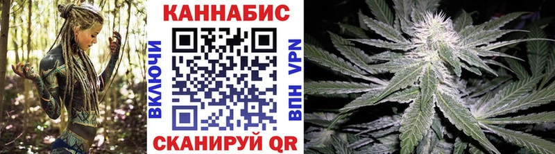 Каннабис Amnesia  Купить закладки  Теберда 